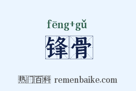 锋骨是什么意思的图片